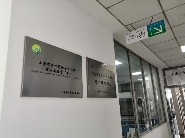 果冻传媒