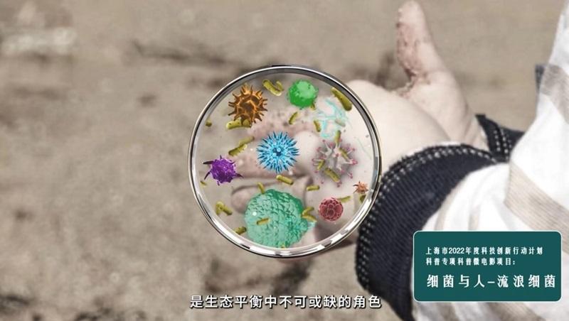 果冻传媒